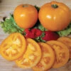 Amish Gold Slicer Tomato -Deals Petal Inn Store 00034 A