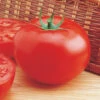 Delicious Tomato -Deals Petal Inn Store 00131