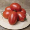 Mariana Hybrid Tomato -Deals Petal Inn Store 00454 HV