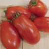 San Marzano Tomato -Deals Petal Inn Store 00630 A