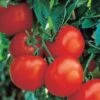 Ultimate Opener Hybrid Tomato -Deals Petal Inn Store 00785