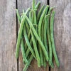 Jade Bush Bean -Deals Petal Inn Store 01045 A