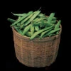Roma II Italian Bush Bean 2 Roma II Italian Bush Bean -Deals Petal Inn Store 01060