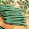 Top Crop Bush Bean -Deals Petal Inn Store 01090