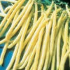 Rocdor Yellow Wax Bush Bean -Deals Petal Inn Store 01135
