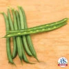 Seychelles Pole Bean -Deals Petal Inn Store 01186