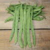 Hilda Romano Pole Bean -Deals Petal Inn Store 01193 A