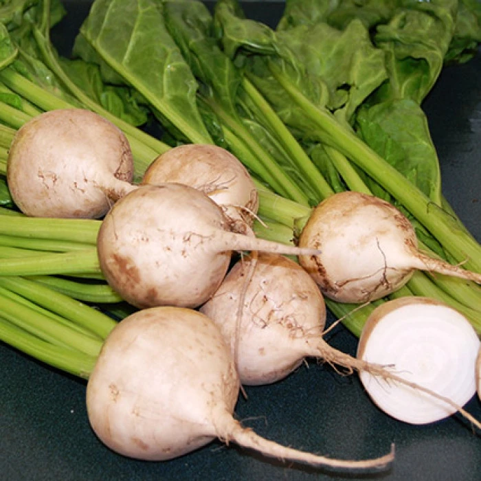 Avalanche Beet 3 Avalanche Beet