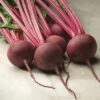 Red Ace Hybrid Beet -Deals Petal Inn Store 01355b