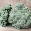 Castle Dome Hybrid Broccoli -Deals Petal Inn Store 01418
