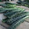Black Magic Hybrid Kale -Deals Petal Inn Store 01451