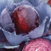 Red Express Cabbage -Deals Petal Inn Store 01565