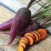 Dragon Carrot -Deals Petal Inn Store 01672 AH