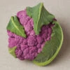 DePurple Hybrid Cauliflower -Deals Petal Inn Store 01715 Cauliflower DePurple