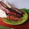 Fiesta Hybrid Ornamental Corn -Deals Petal Inn Store 01773