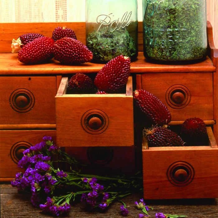 Strawberry Ornamental Popcorn 3 Strawberry Ornamental Popcorn