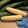 Serendipity Triplesweet&reg; Bicolor Hybrid Sweet Corn -Deals Petal Inn Store 01827