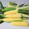 Nirvana Bicolor Hybrid Sweet Corn -Deals Petal Inn Store 01844