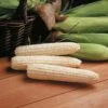 Avalon Triplesweet™ White Hybrid Sweet Corn -Deals Petal Inn Store 01859