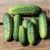 Chicago Pickling Cucumber -Deals Petal Inn Store 02012 A