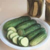 County Fair Hybrid Cucumber -Deals Petal Inn Store 02015