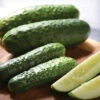 Gherking Hybrid Cucumber -Deals Petal Inn Store 02026