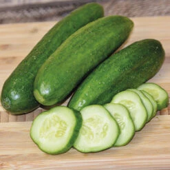 Muncher Cucumber