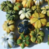 Daisy Mix Gourds -Deals Petal Inn Store 02322