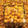 Aunt Molly's Ground Cherry -Deals Petal Inn Store 02351