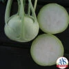 Konan Hybrid Kohlrabi 2 Konan Hybrid Kohlrabi -Deals Petal Inn Store 02487
