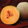 Avatar Hybrid Muskmelon Seed -Deals Petal Inn Store 02621