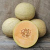 Goddess Hybrid Muskmelon 1 Goddess Hybrid Muskmelon -Deals Petal Inn Store 02636 HV