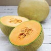 Infinite Gold Hybrid Muskmelon -Deals Petal Inn Store 02642 A