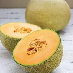 Infinite Gold Hybrid Muskmelon