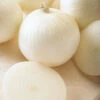 Sierra Blanca Hybrid Onion -Deals Petal Inn Store 02767