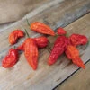 Bhut Jolokia Pepper -Deals Petal Inn Store 03004 HV