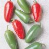 Early Jalapeno Pepper 1 Early Jalapeno Pepper -Deals Petal Inn Store 03028