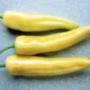 Hungarian Yellow Hot Wax Pepper -Deals Petal Inn Store 03045