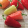 Mariachi Hybrid Pepper -Deals Petal Inn Store 03058