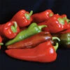 Carmen Hybrid Pepper -Deals Petal Inn Store 03127