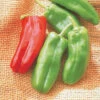 Giant Marconi Hybrid Pepper -Deals Petal Inn Store 03151