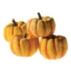 Flame Hybrid Pumpkin -Deals Petal Inn Store 03281