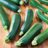 Black Beauty Zucchini Squash -Deals Petal Inn Store 03510
