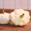 Early White Bush Scallop Squash -Deals Petal Inn Store 03532