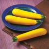 Golden Glory Hybrid Summer Squash -Deals Petal Inn Store 03538