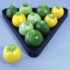 Pool Ball Hybrid Zucchini Squash -Deals Petal Inn Store 03562