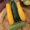 Jung Summer Medley Squash -Deals Petal Inn Store 03598