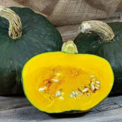Maxima Burgess Buttercup Winter Squash