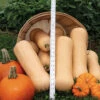 Dick's Pick Hybrid Butternut Squash -Deals Petal Inn Store 03615 AH