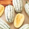 Bush Delicata Winter Squash -Deals Petal Inn Store 03632